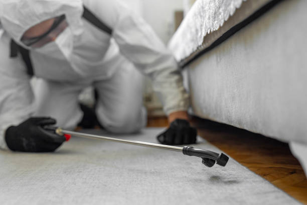 Professional Pest Control technician working in North Wilkesboro, NC