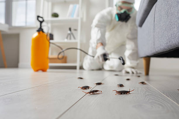 Trusted Cockroach Control service in North Wilkesboro, NC - Nex Pest Control