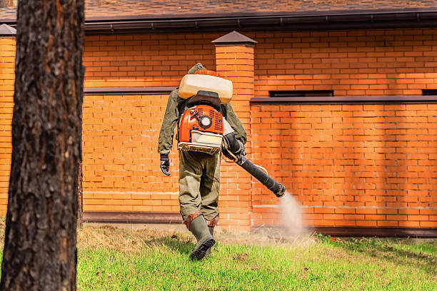 Trusted Bed Bug Control service in North Wilkesboro, NC - Nex Pest Control